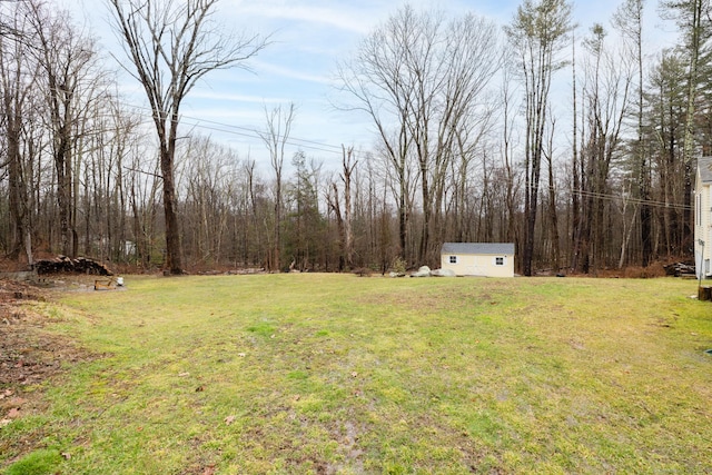 view of yard featuring a storage unit