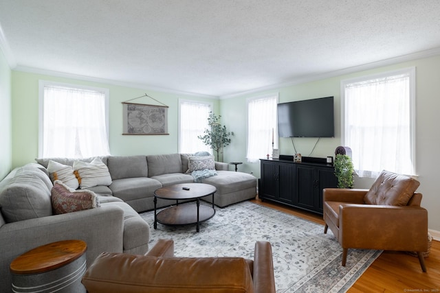 living room featuring a textured ceiling, light wood-type flooring, and ornamental molding