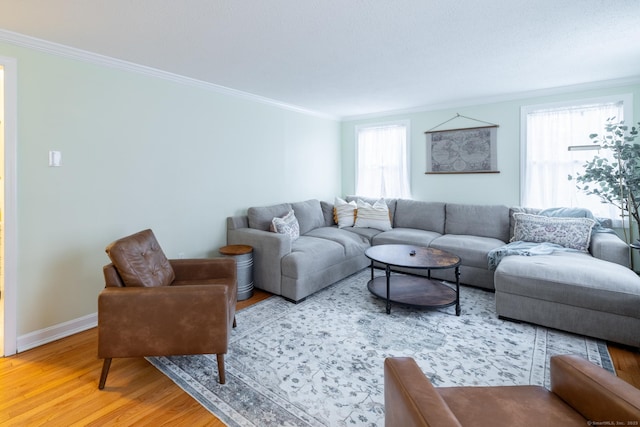 living room with ornamental molding and hardwood / wood-style flooring