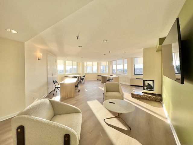 living room with light hardwood / wood-style flooring