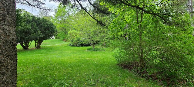 16 Loehr Rd, Tolland, CT 06084 - photo 20