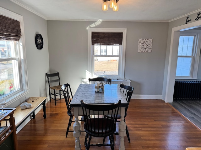 dining room featuring radiator heating unit, ornamental molding, a wealth of natural light, and dark hardwood / wood-style floors