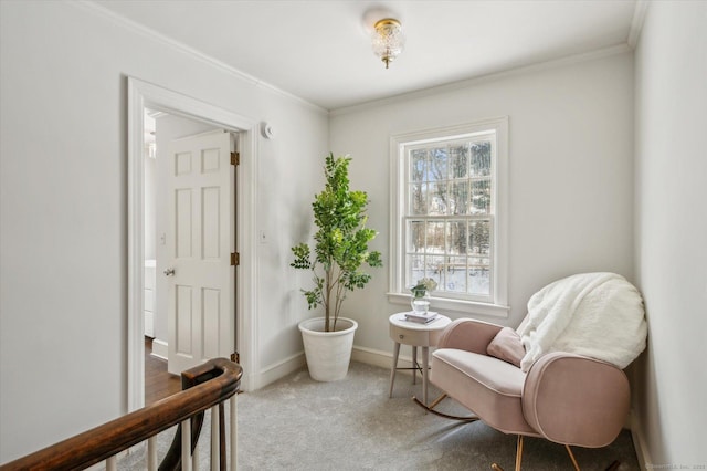 living area with carpet flooring and crown molding