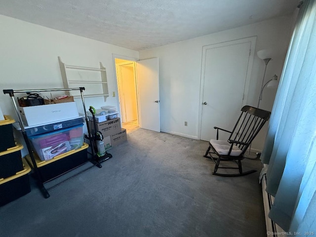 sitting room featuring a textured ceiling and carpet