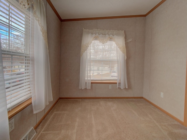 spare room featuring light colored carpet and ornamental molding