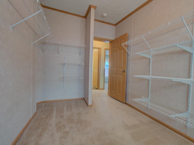 spacious closet featuring carpet flooring