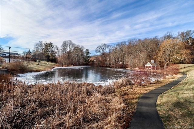 view of water feature