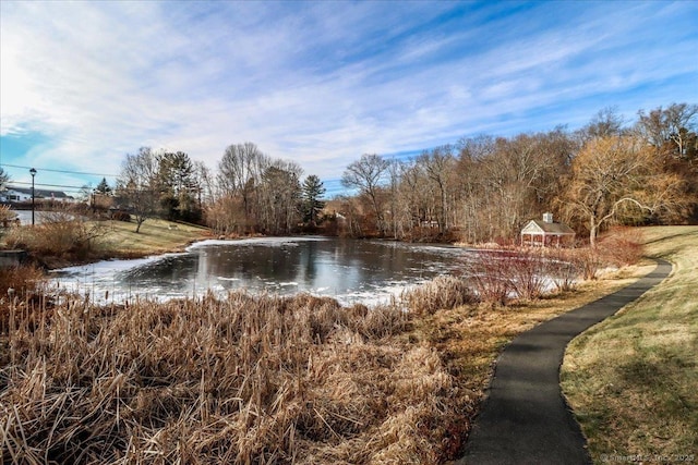 property view of water