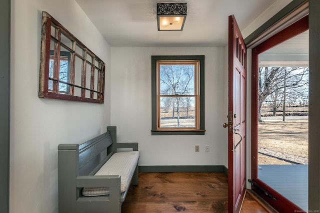 doorway featuring dark hardwood / wood-style flooring