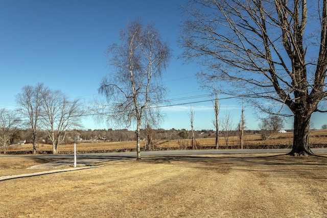 view of yard with a rural view