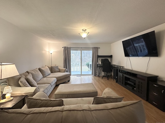 living room with a textured ceiling and light hardwood / wood-style flooring