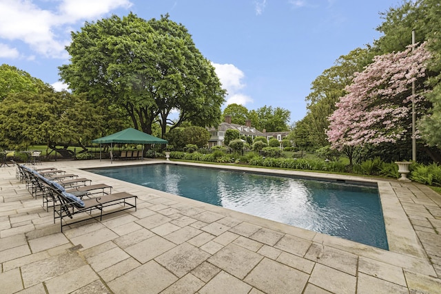 view of pool featuring a patio area