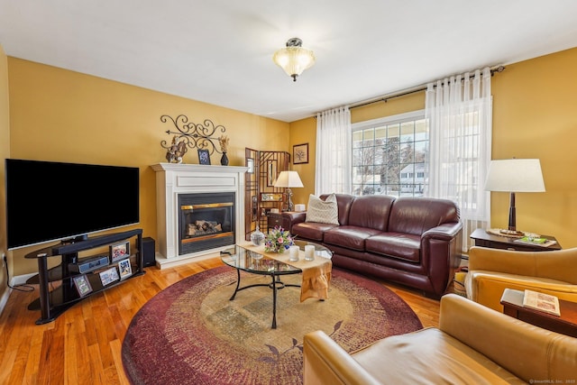 living room with hardwood / wood-style floors