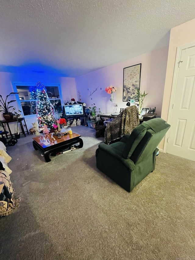 carpeted living room featuring a textured ceiling