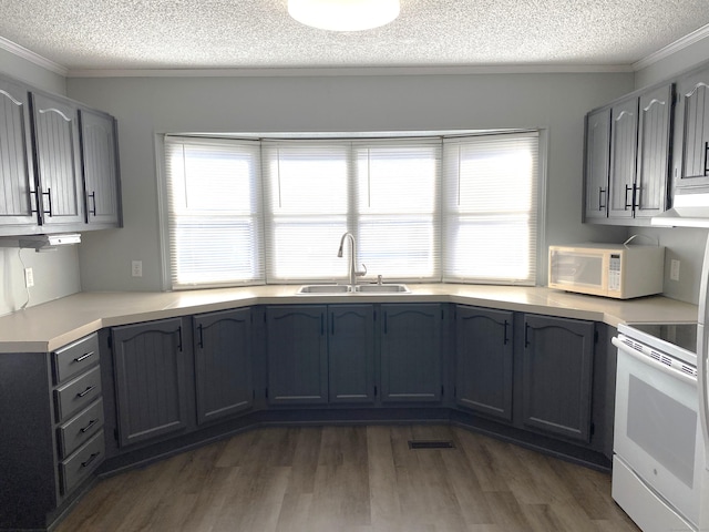 kitchen featuring ornamental molding, plenty of natural light, sink, and white appliances