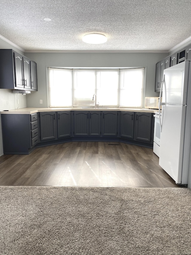 kitchen featuring white appliances, gray cabinets, and a healthy amount of sunlight