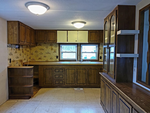 kitchen with a textured ceiling and sink