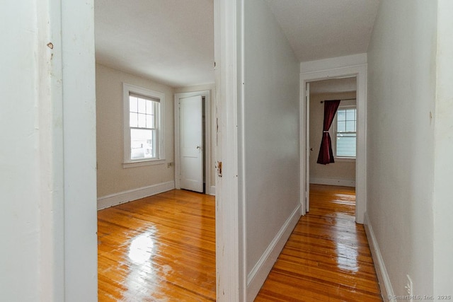 hall with light hardwood / wood-style floors