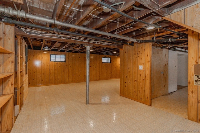 basement with wooden walls