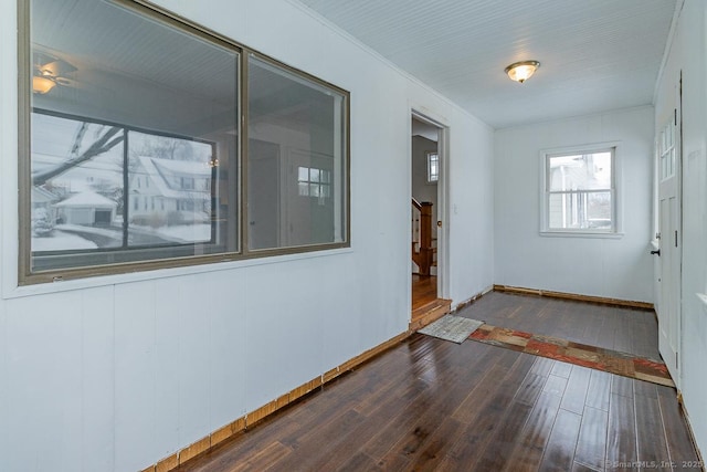 interior space featuring crown molding and dark wood-type flooring