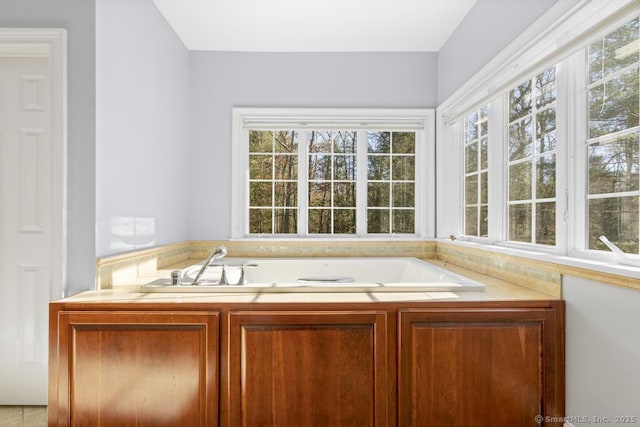 bathroom with a tub and a wealth of natural light