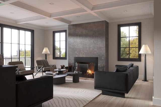 living area with a healthy amount of sunlight and coffered ceiling