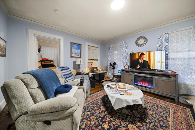 living room with ornamental molding and dark hardwood / wood-style floors