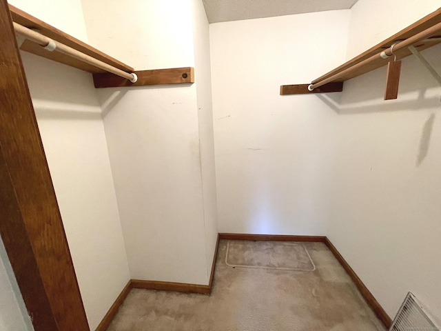 spacious closet featuring light carpet