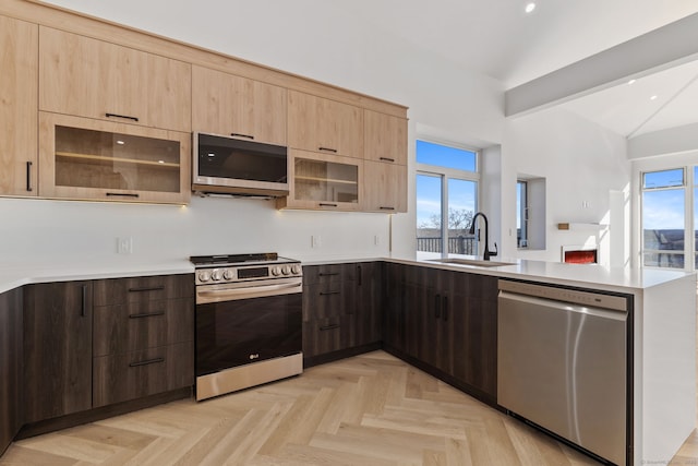 kitchen featuring a healthy amount of sunlight, lofted ceiling with beams, sink, and stainless steel appliances