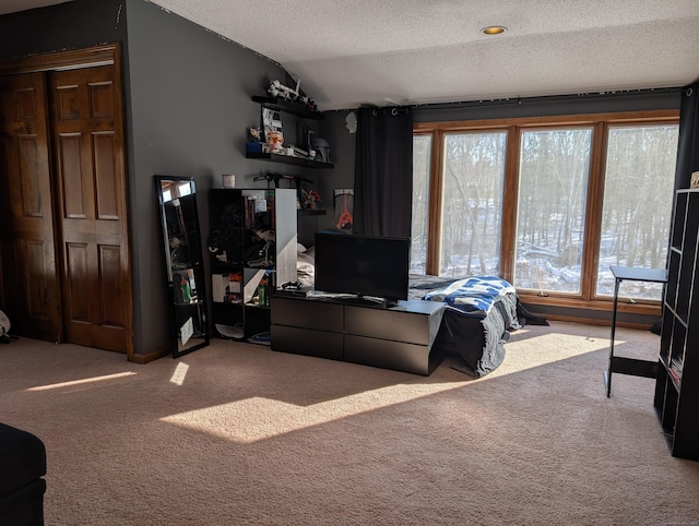 carpeted living area with a textured ceiling and vaulted ceiling