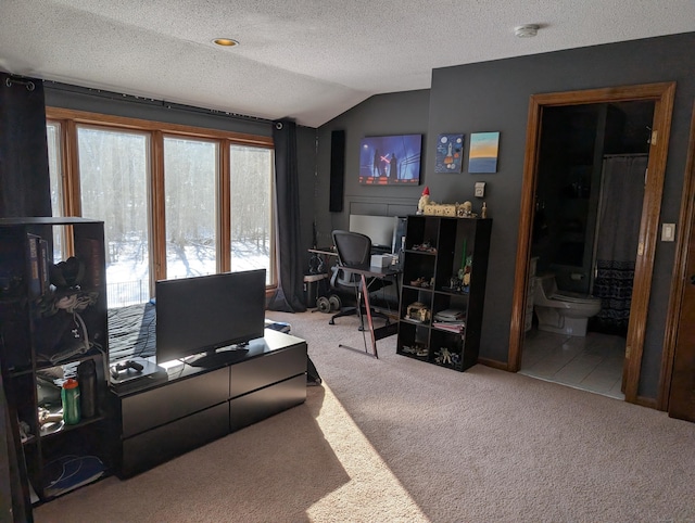 office space with a textured ceiling, lofted ceiling, and carpet