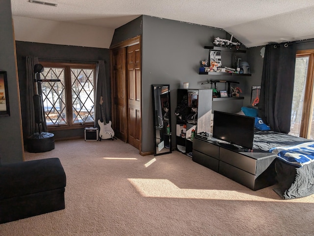 carpeted living area featuring lofted ceiling, a healthy amount of sunlight, visible vents, and a textured ceiling