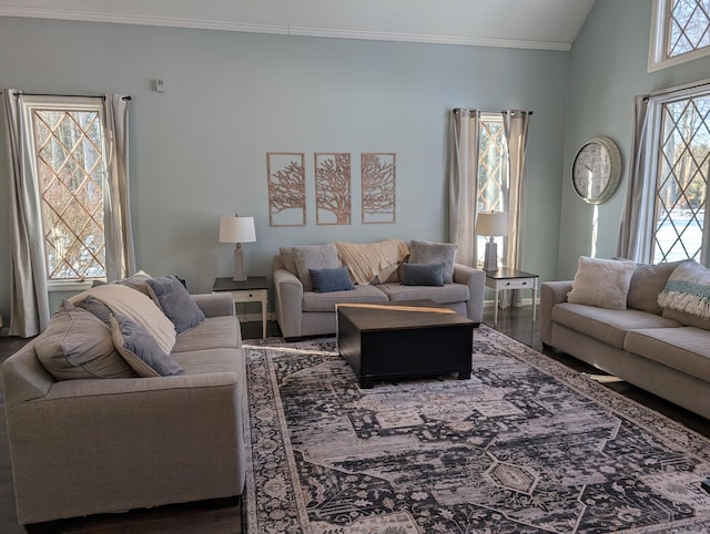 living area with lofted ceiling, wood finished floors, and crown molding