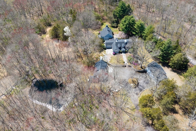 drone / aerial view