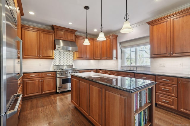 kitchen with a center island, ventilation hood, high quality appliances, pendant lighting, and sink