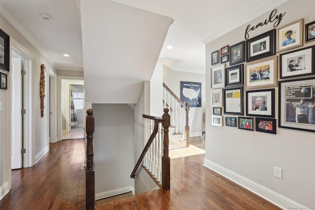 hallway featuring crown molding and dark wood-type flooring