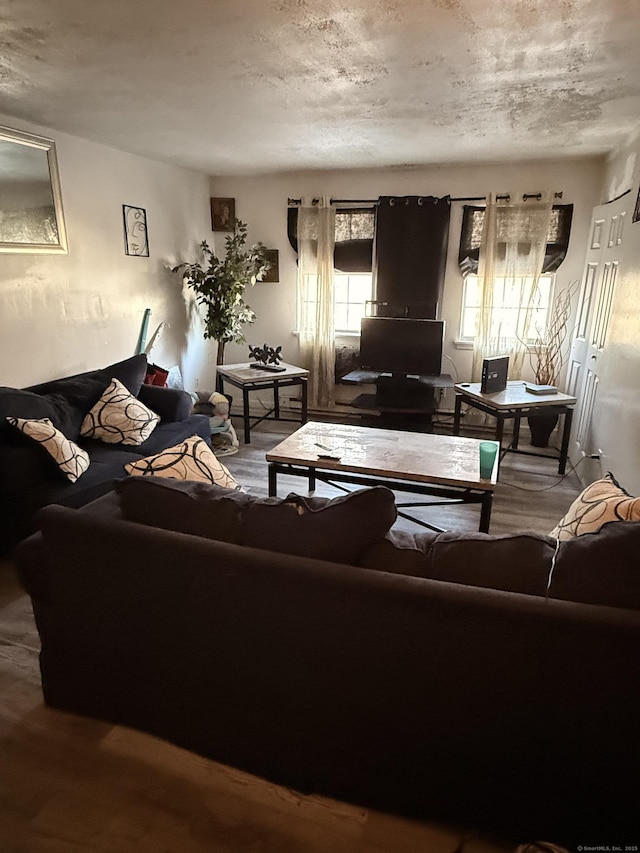 living room with hardwood / wood-style flooring