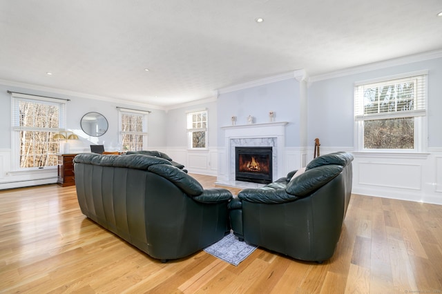 living room featuring ornamental molding, a fireplace, and light hardwood / wood-style flooring