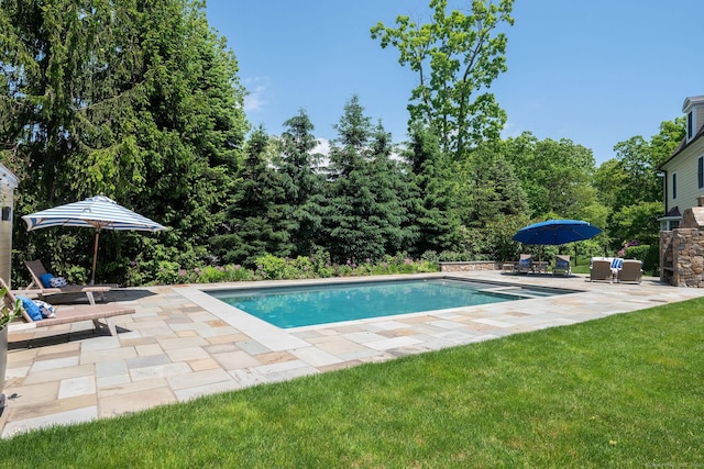 view of pool featuring a yard and a patio