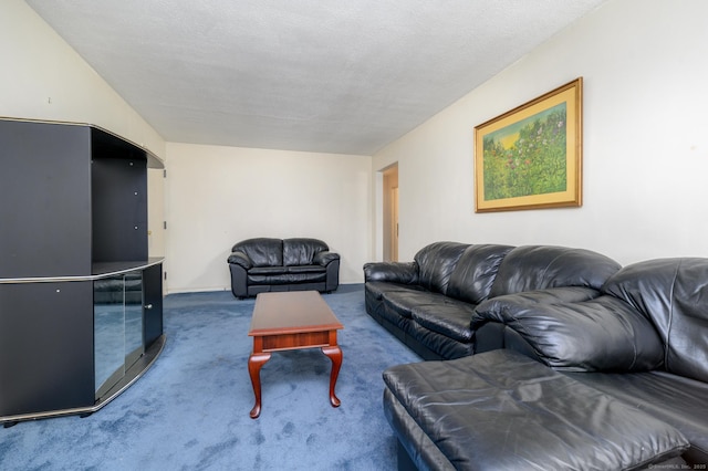 living room featuring a textured ceiling and carpet