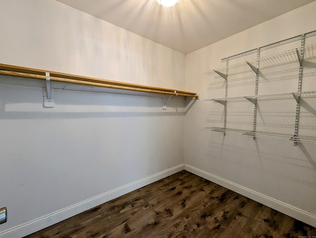 spacious closet with dark wood-type flooring