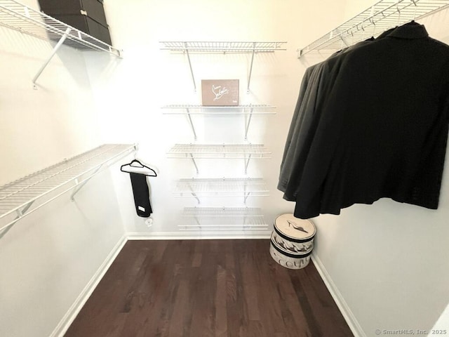 spacious closet featuring wood finished floors