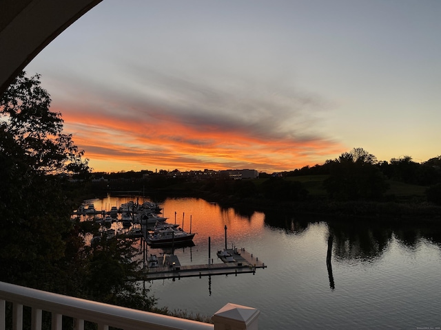 water view featuring a dock