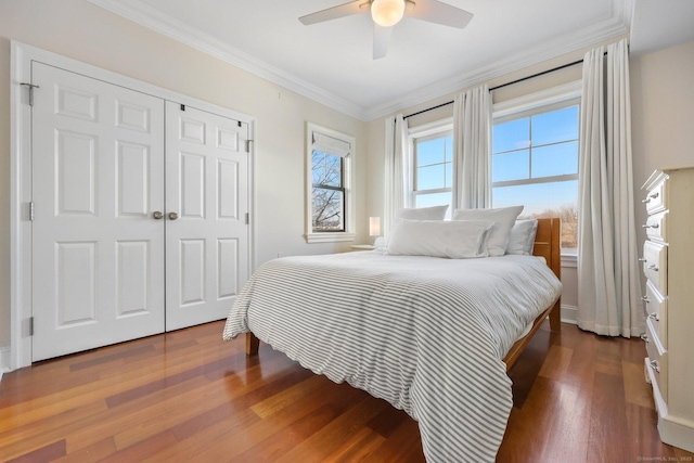 bedroom with ceiling fan, a closet, ornamental molding, and wood finished floors