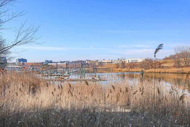 view of yard featuring a water view