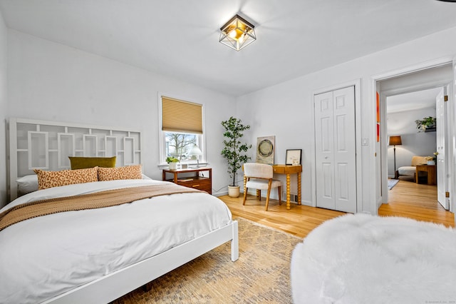 bedroom featuring wood-type flooring and a closet