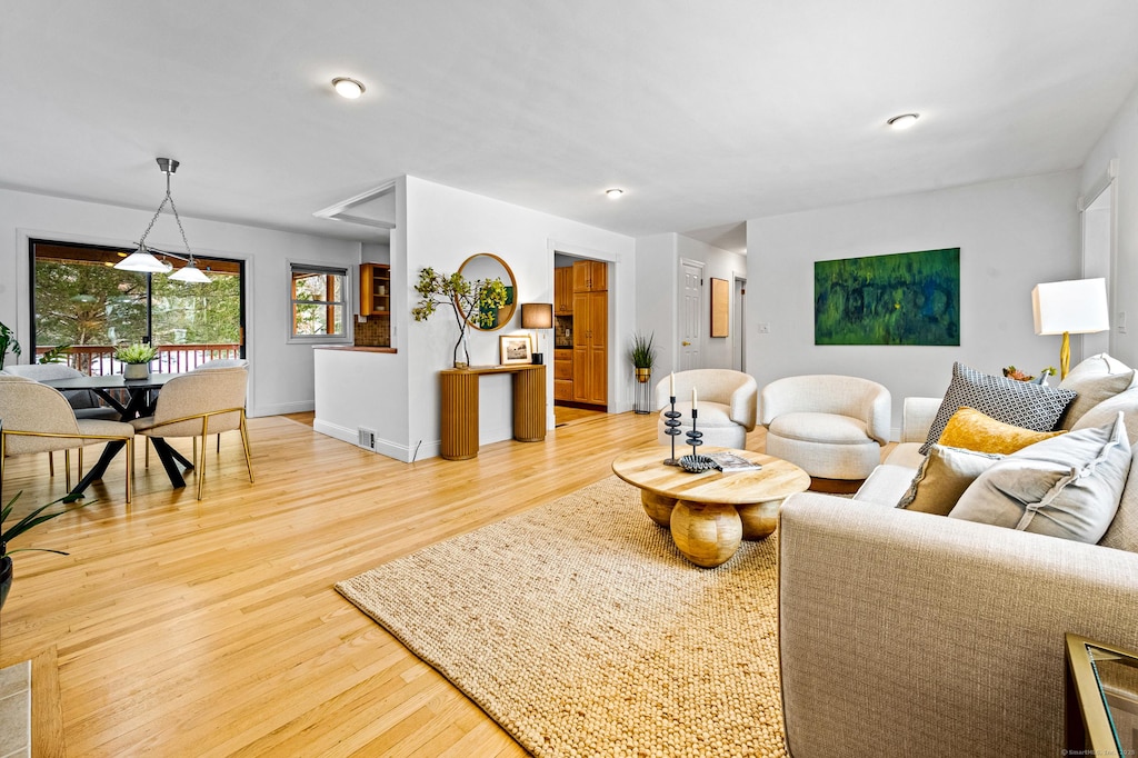 living room with wood-type flooring