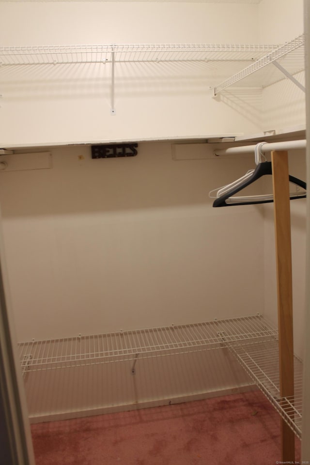 spacious closet featuring carpet floors