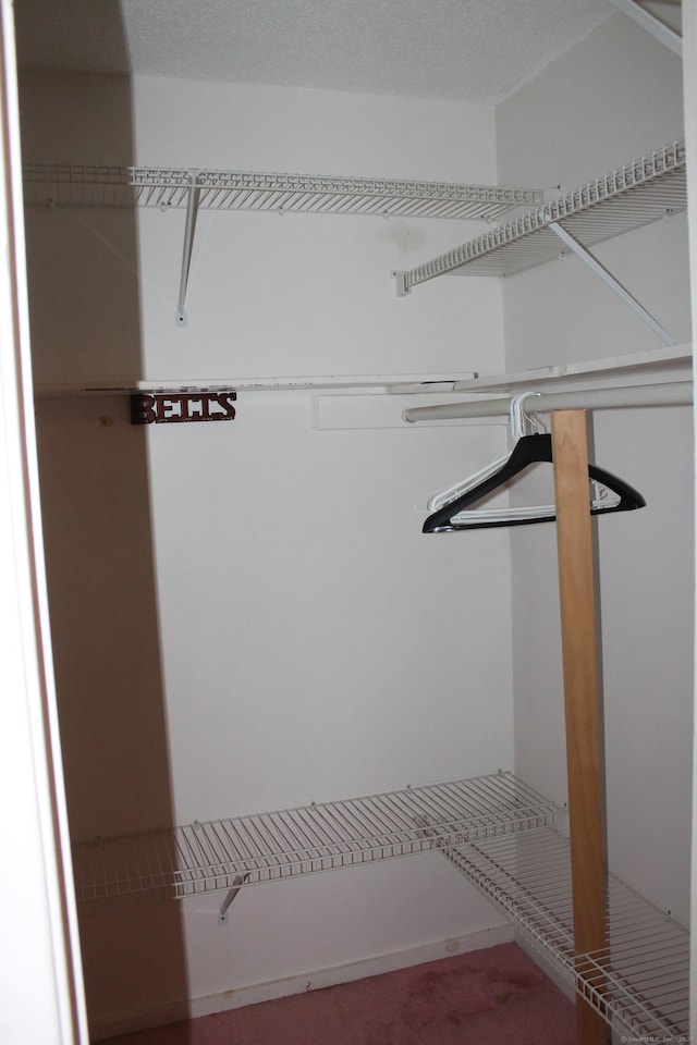 walk in closet with carpet