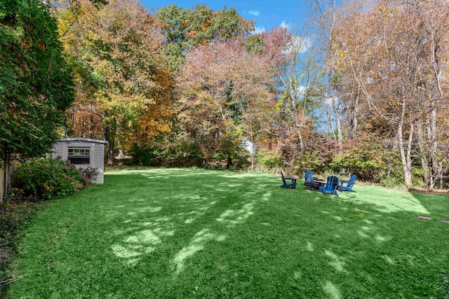 view of yard with a shed